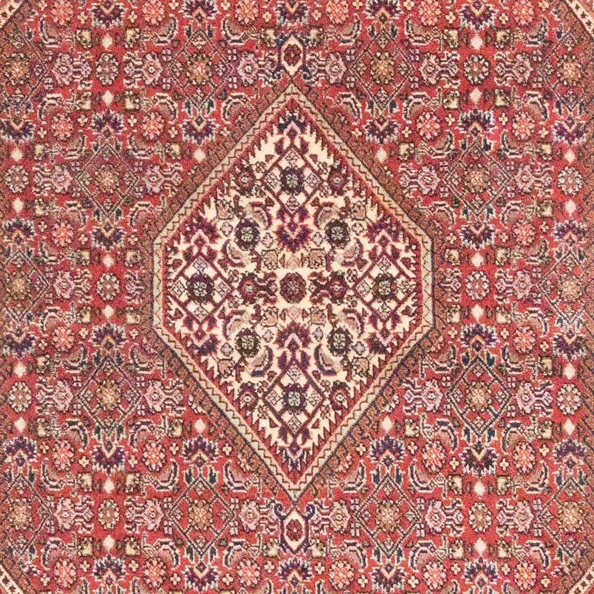 Perser Rug - Bidjar - 184 x 108 cm - rust