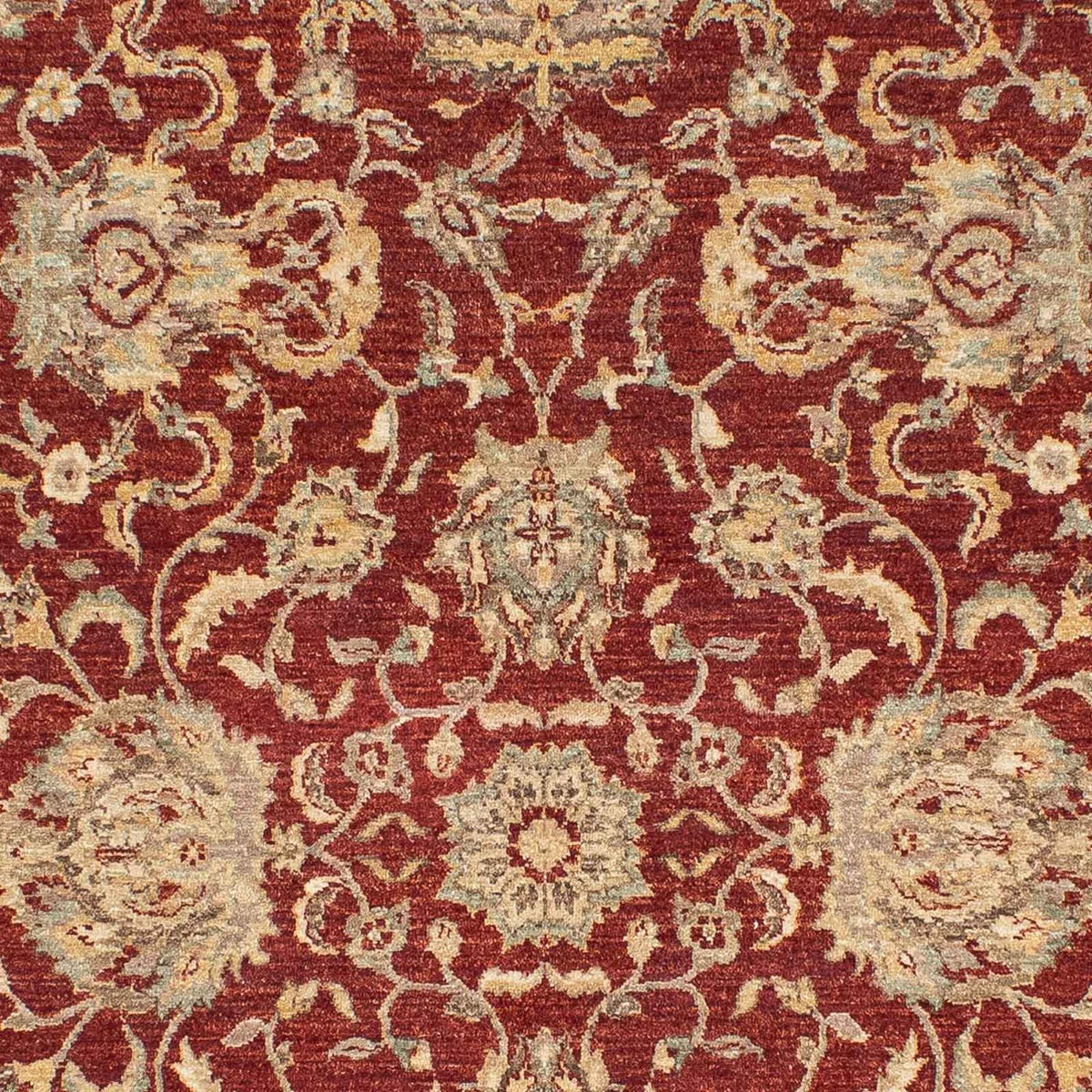 Ziegler Rug - 269 x 177 cm - dark red