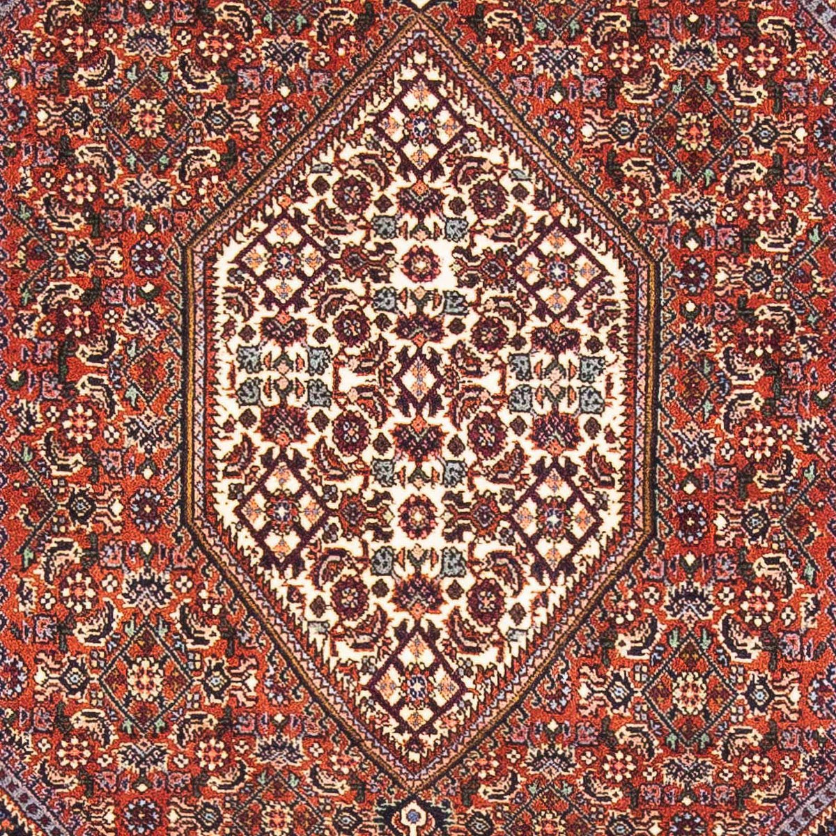 Perser Rug - Bidjar - 152 x 105 cm - red