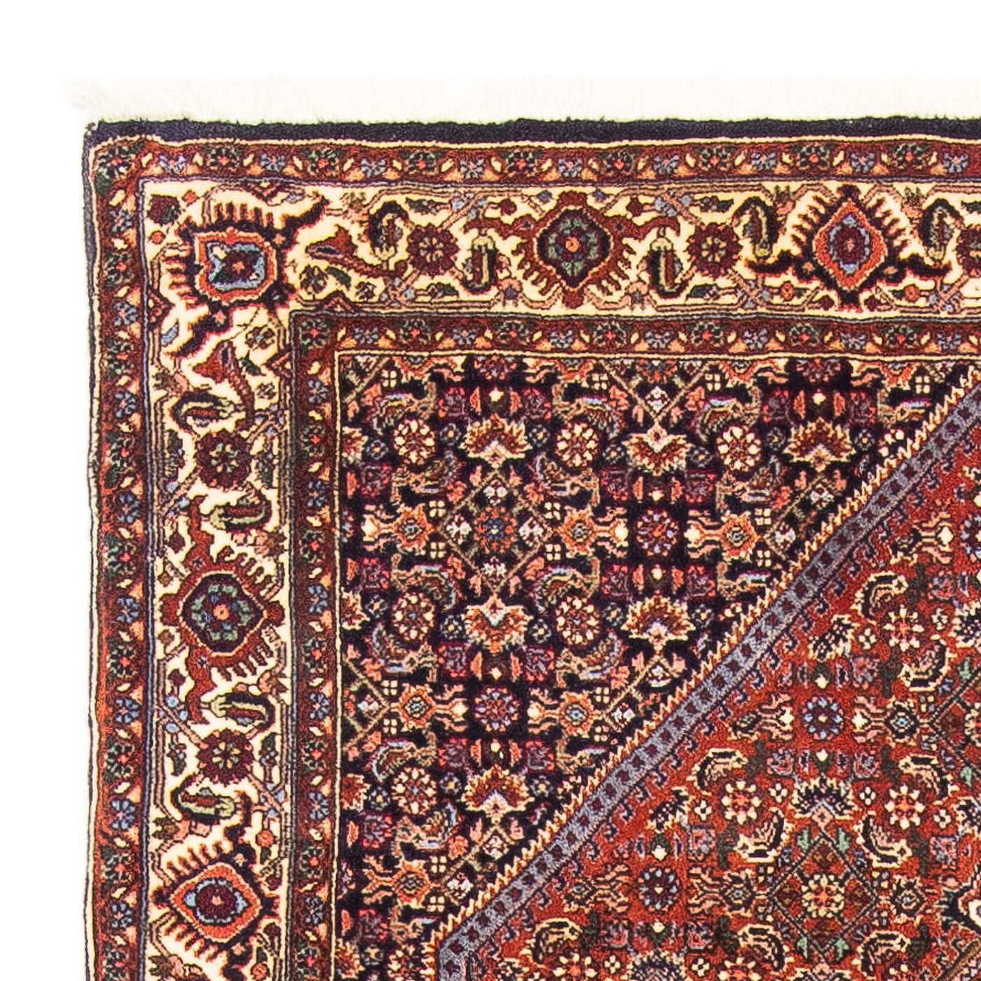 Bidjar Rug 152x105cm - Persian Rugs