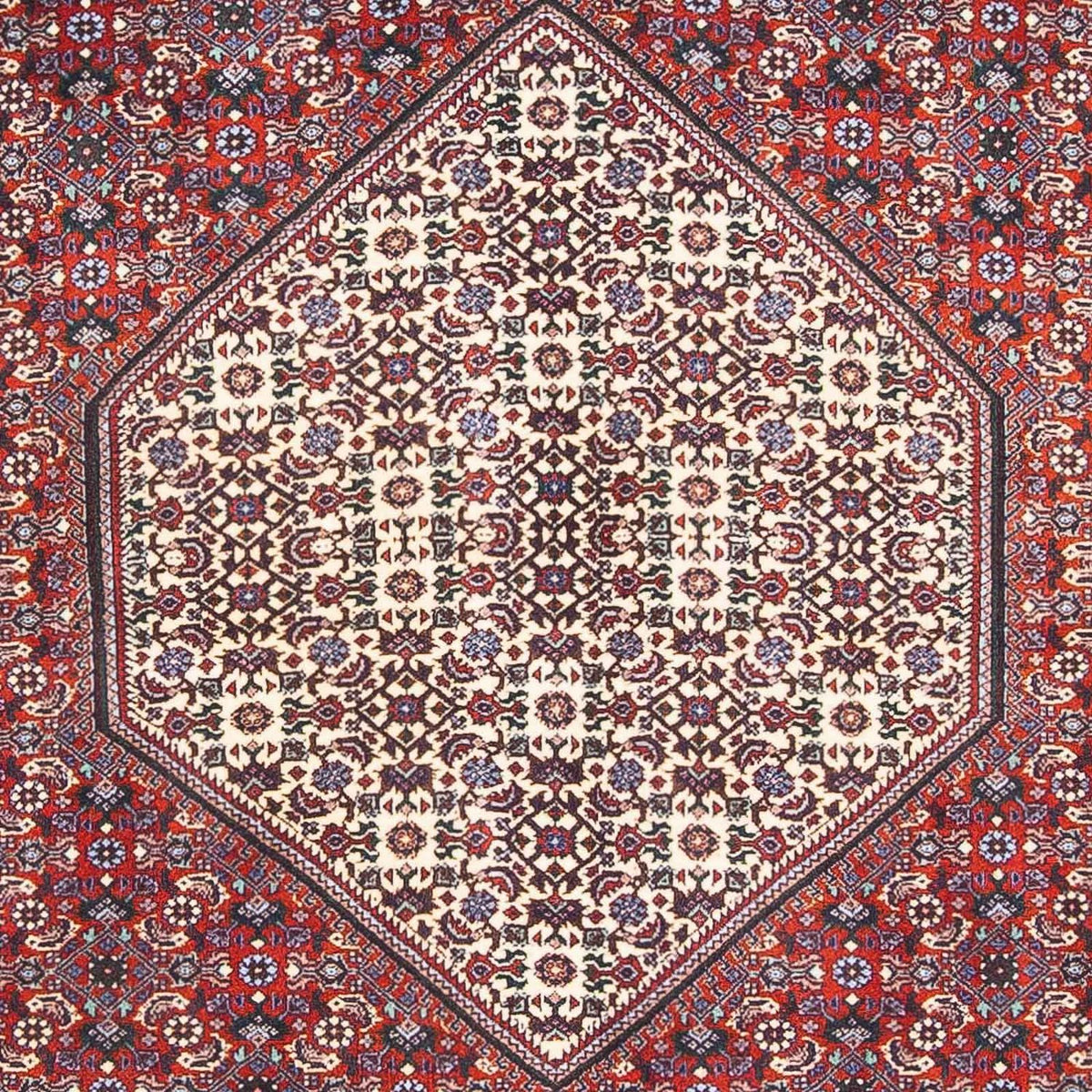 Perser Rug - Bidjar - 170 x 110 cm - beige