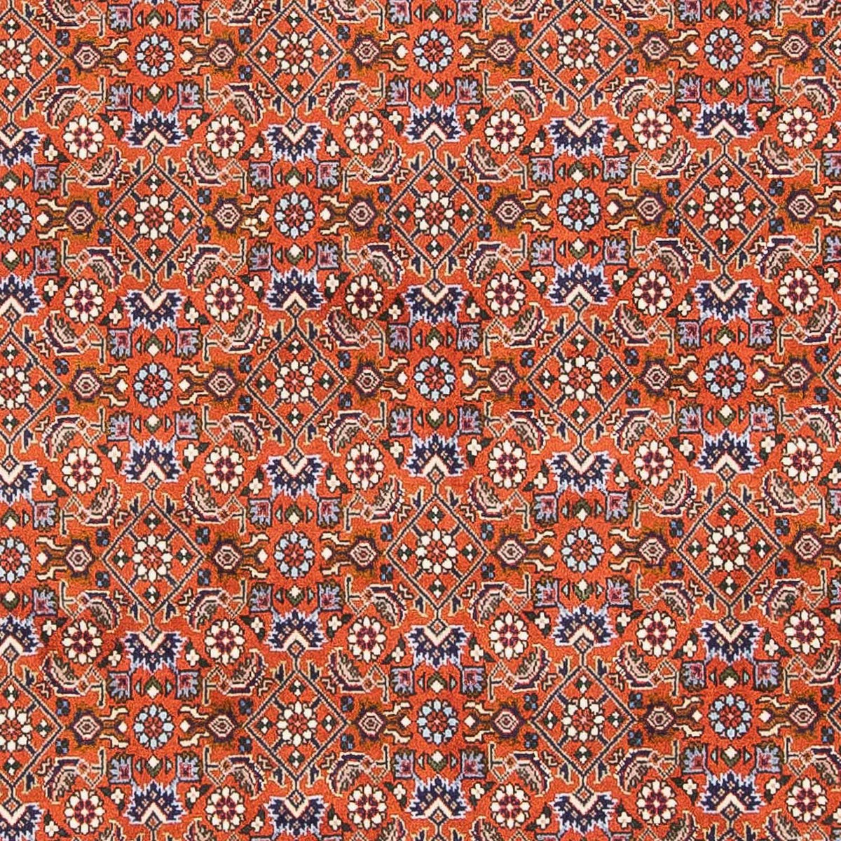 Perser Rug - Bidjar - 160 x 110 cm - orange