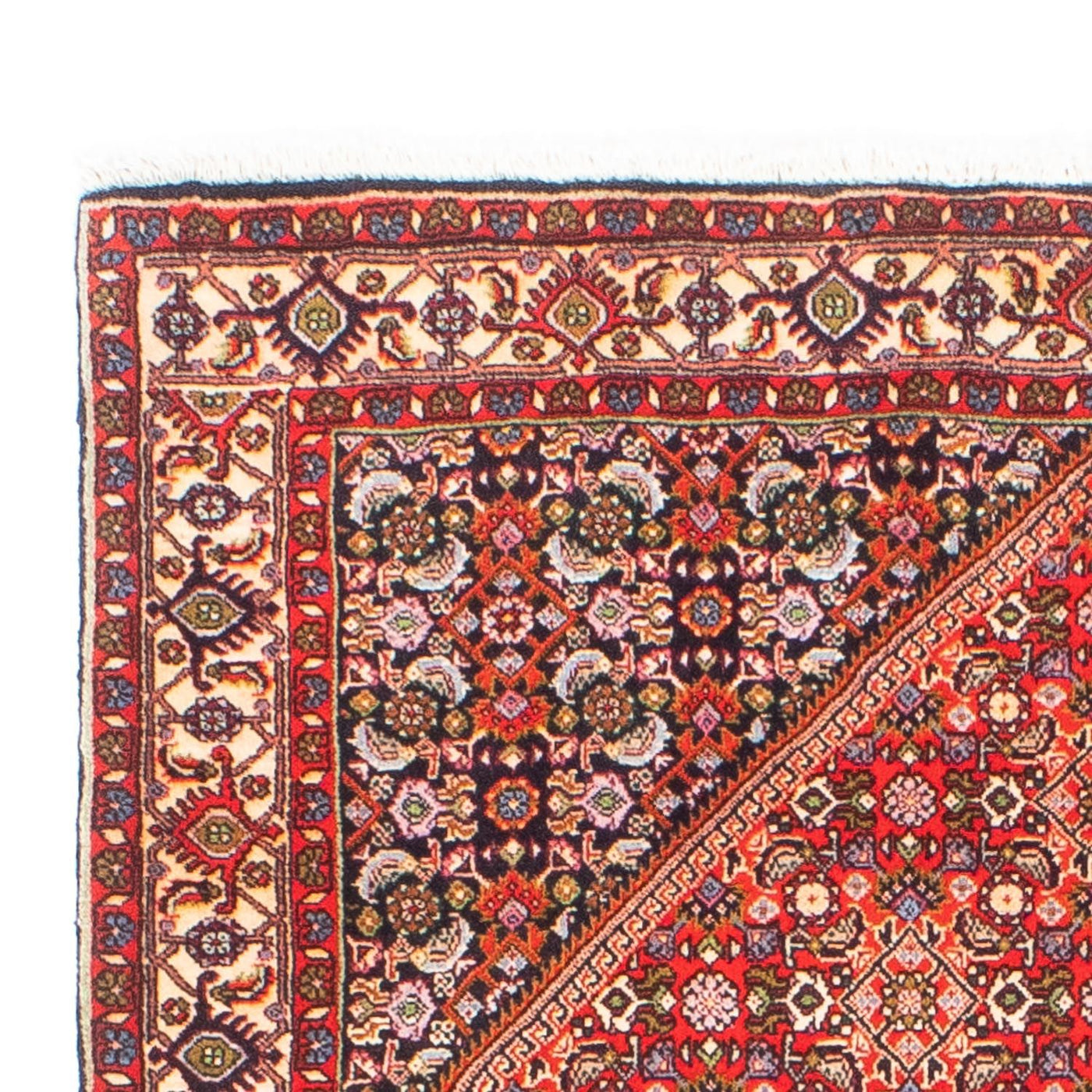 Bidjar Rug 173x112cm - Persian Rugs