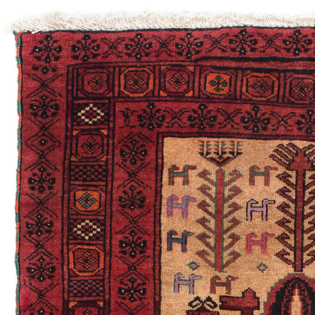 Belutsch Rug 82x135cm - Oriental Rug