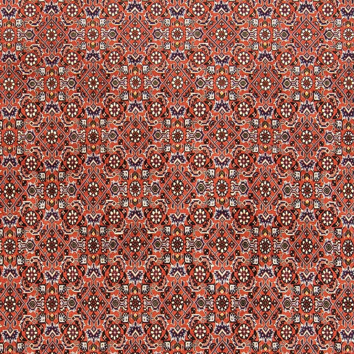 Perser Rug - Bidjar - 230 x 168 cm - rust