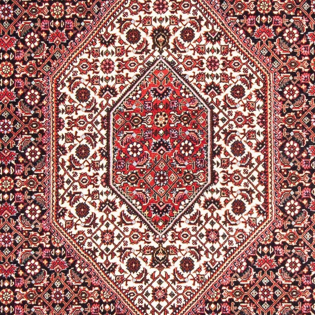 Perser Rug - Bidjar - 168 x 106 cm - red
