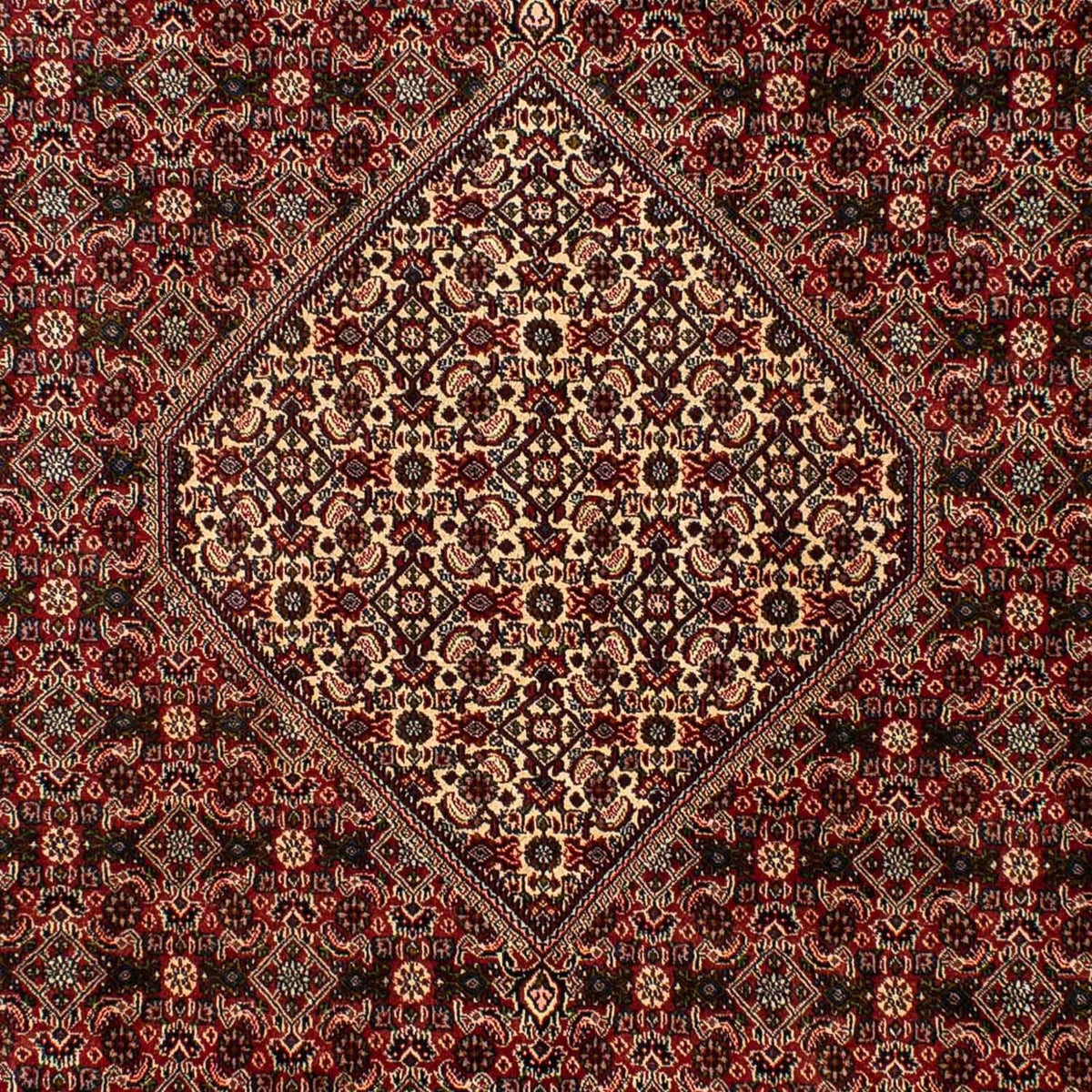 Perser Rug - Bidjar - 309 x 197 cm - brown