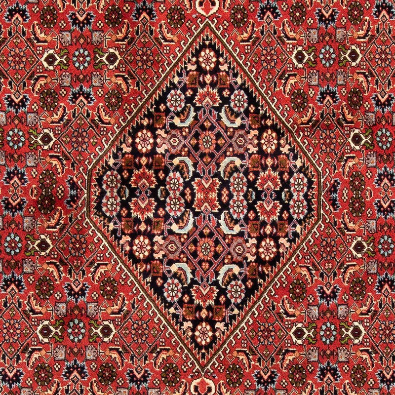 Bidjar Rug 247x169cm - Persian Rugs