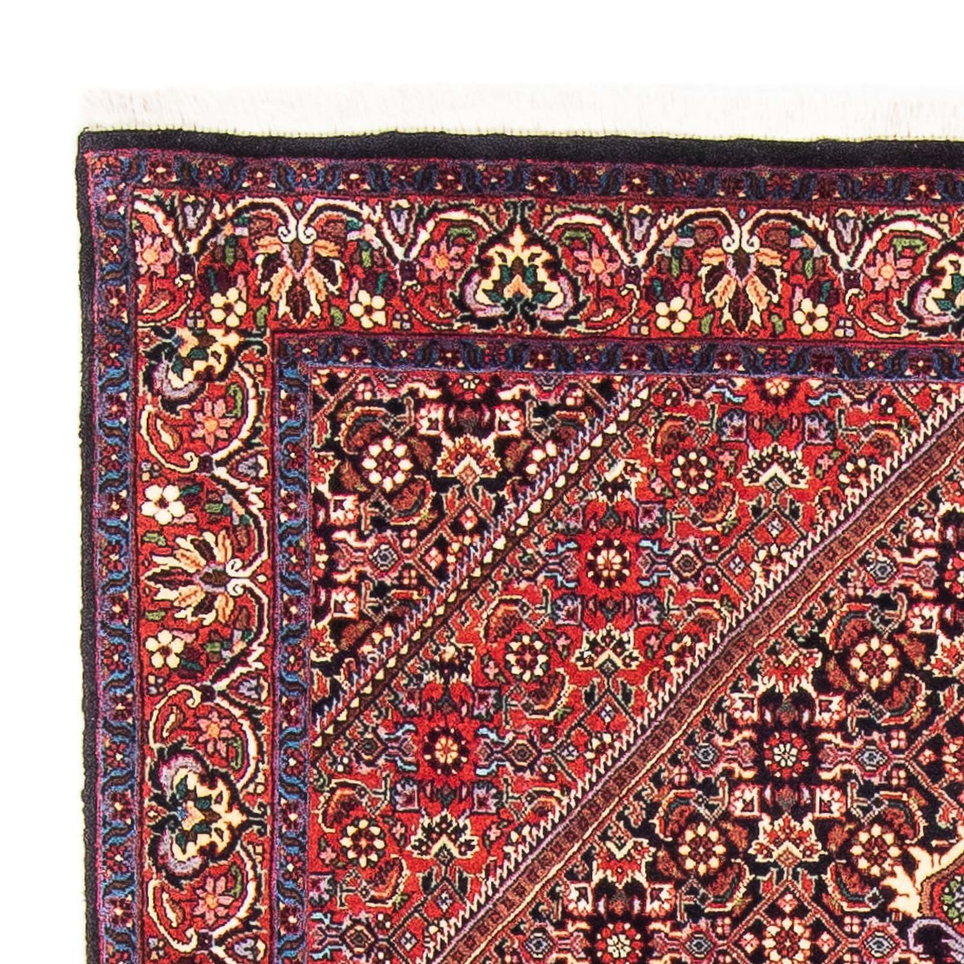 Bidjar Rug 173x110cm - Persian Rugs