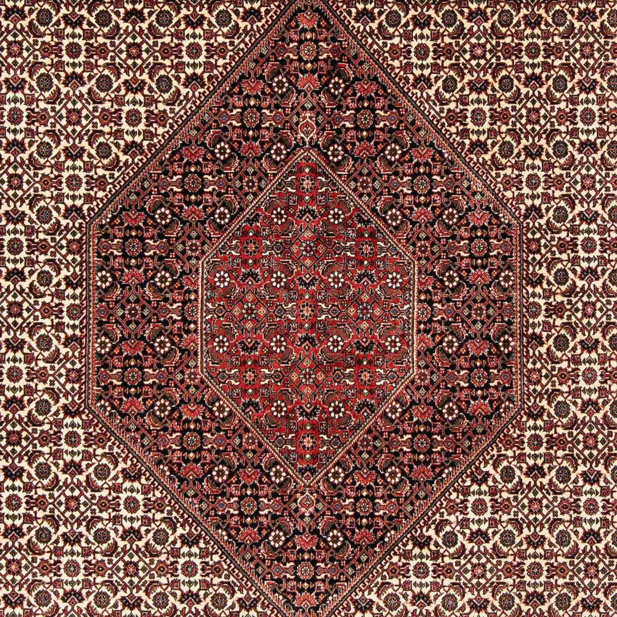 Perser Rug - Bidjar - 254 x 203 cm - dark red