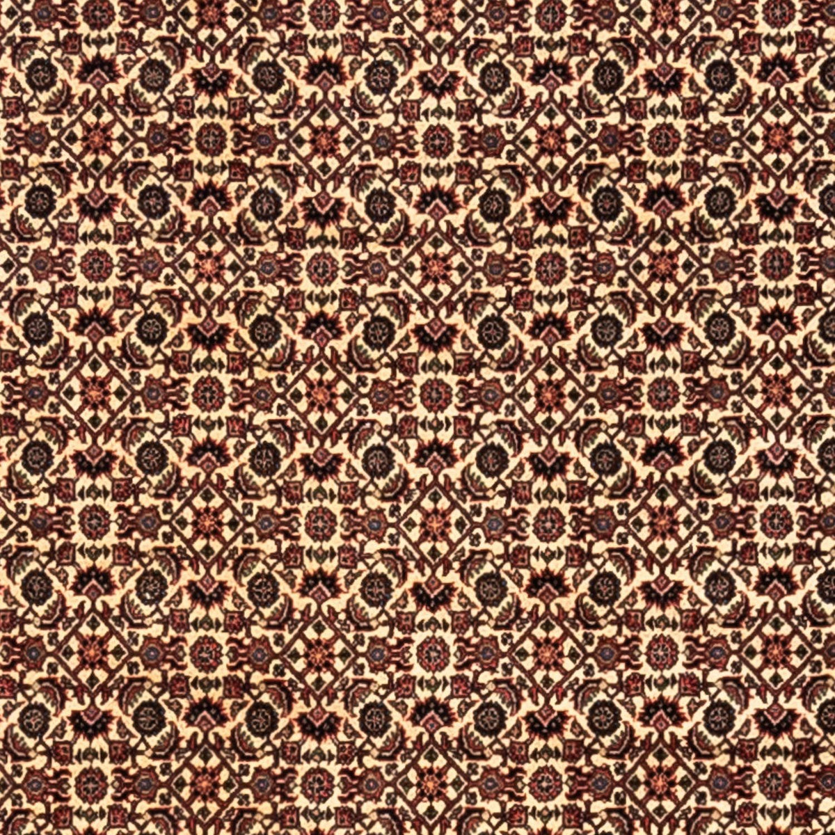Perser Rug - Bidjar - 302 x 208 cm - beige