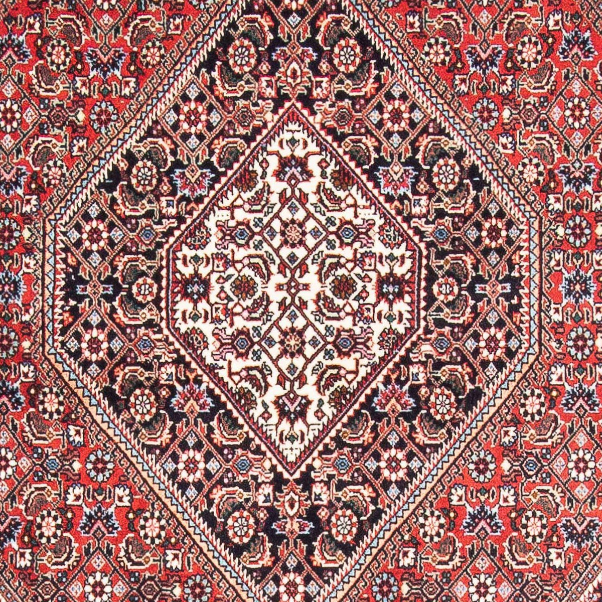 Perser Rug - Bidjar - 175 x 110 cm - red