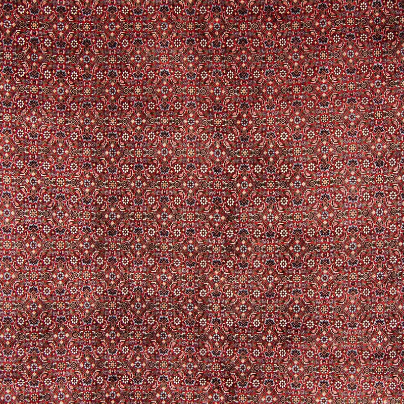Bidjar Rug 398x299cm - Persian Rugs