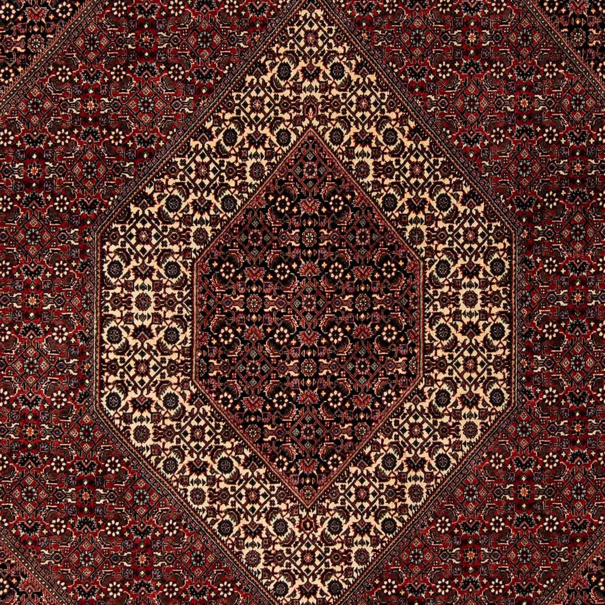 Perser Rug - Bidjar - 249 x 200 cm - dark red