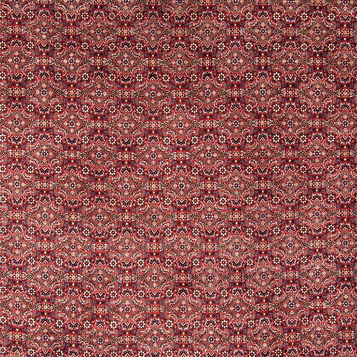 Perser Rug - Bidjar - 350 x 246 cm - red