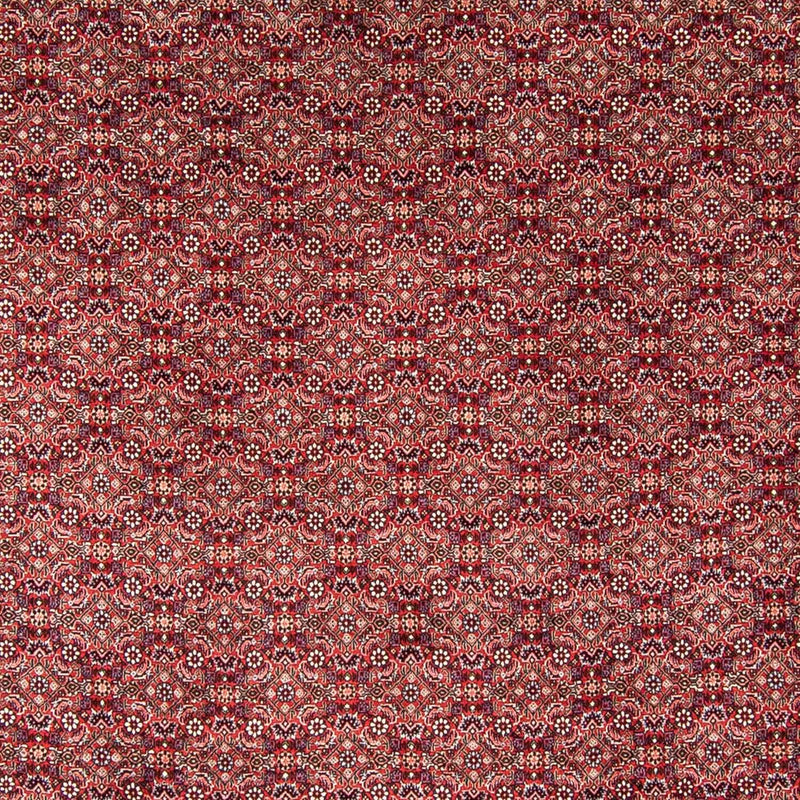 Perser Rug - Bidjar - 350 x 246 cm - red