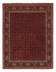 Bidjar Rug 202x256cm - Persian Rugs