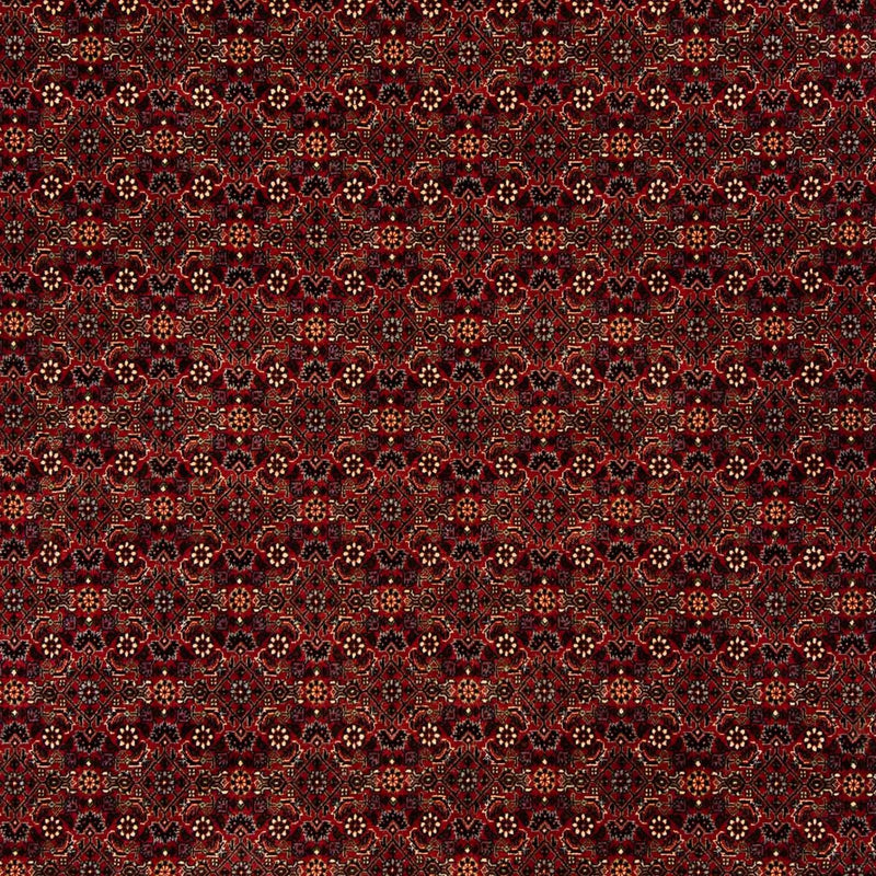 Bidjar Rug 202x256cm - Persian Rugs