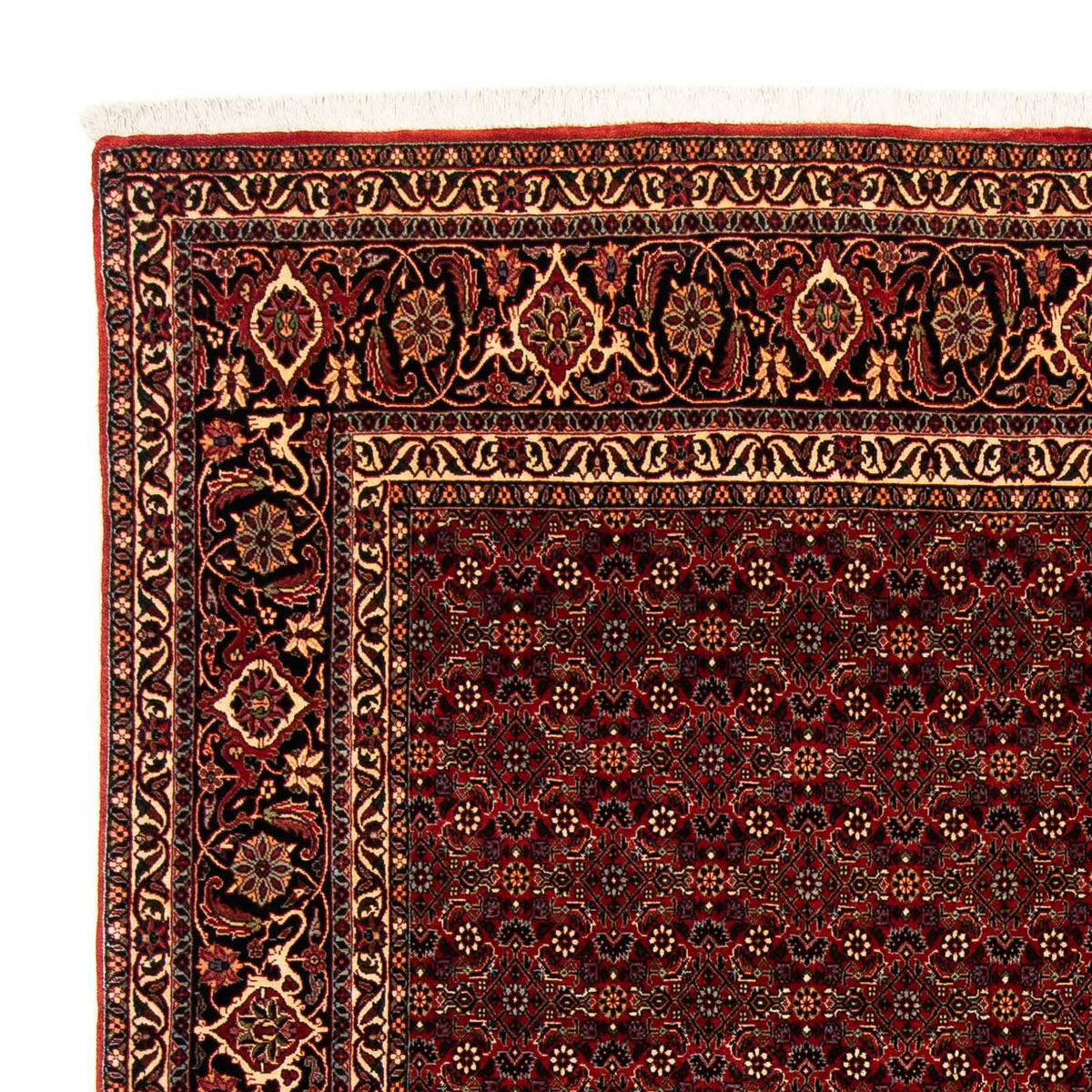Bidjar Rug 202x256cm - Persian Rugs