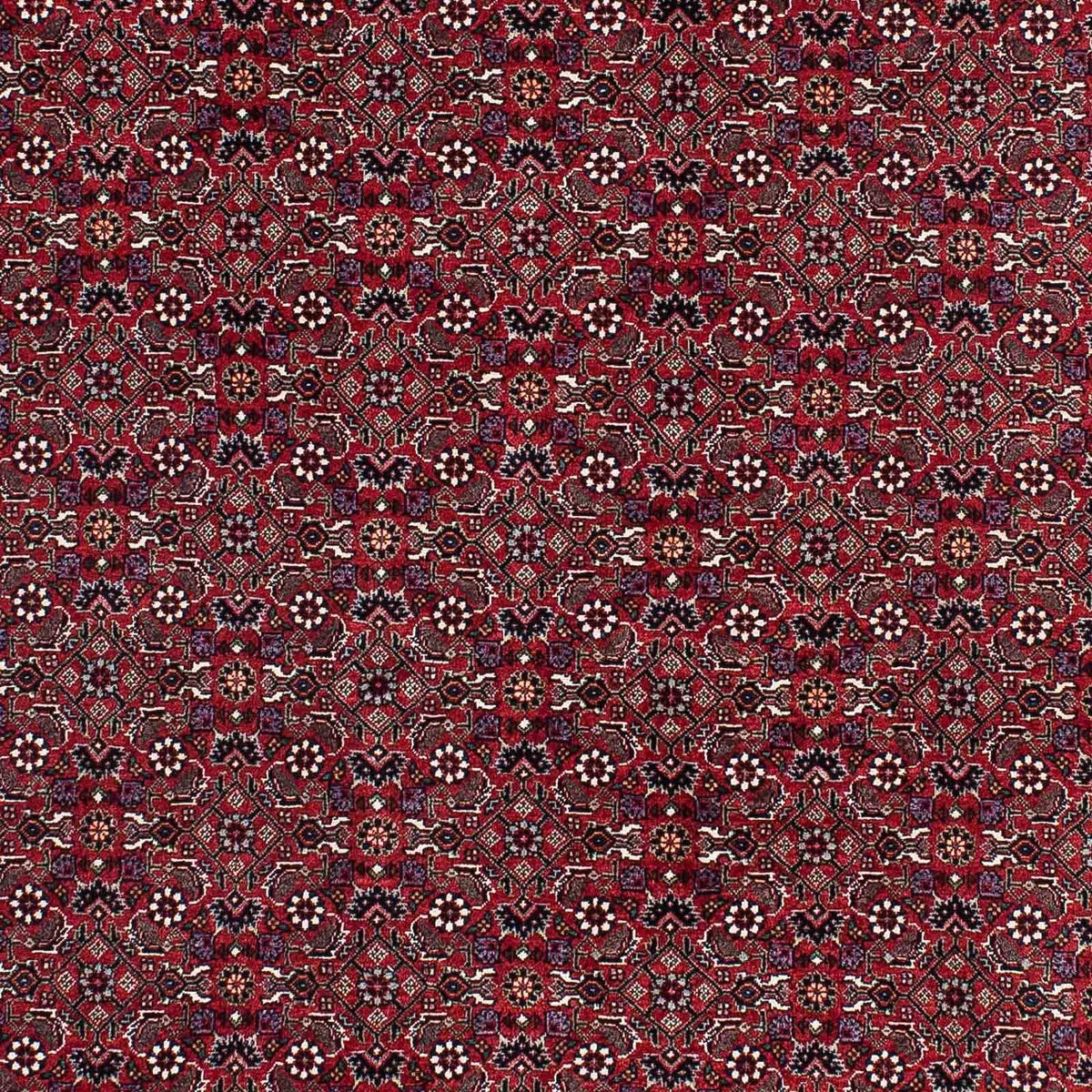 Perser Rug - Bidjar - 221 x 143 cm - red