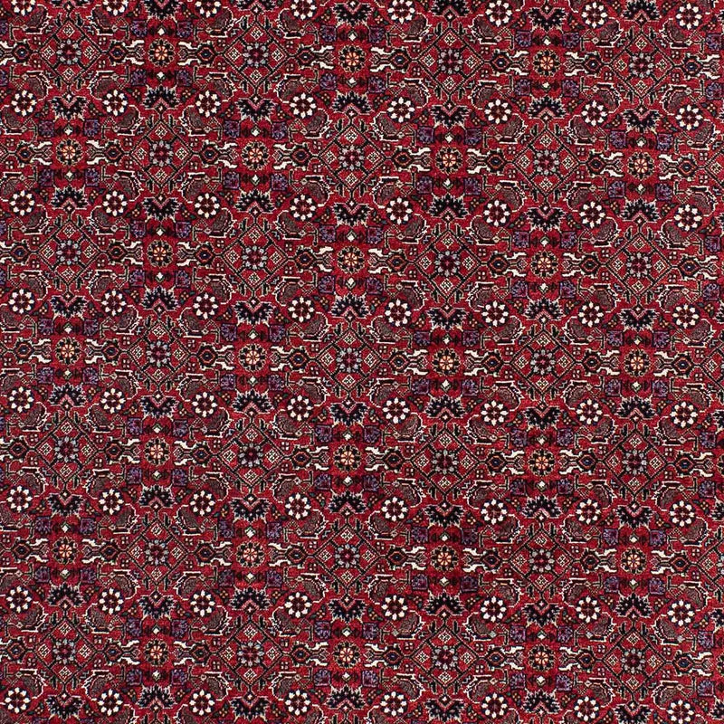 Perser Rug - Bidjar - 221 x 143 cm - red