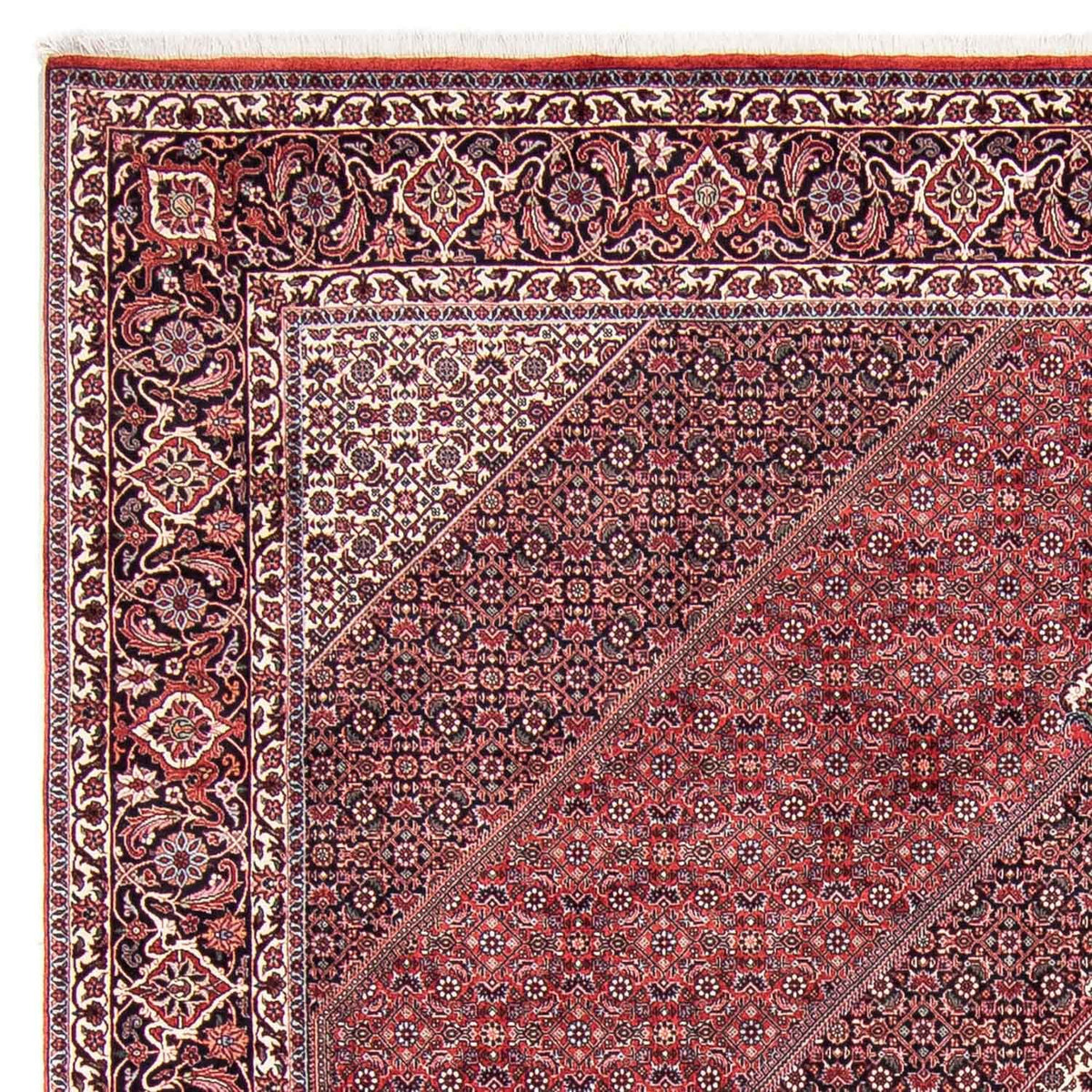 Bidjar Rug 253x302cm - Persian Rugs