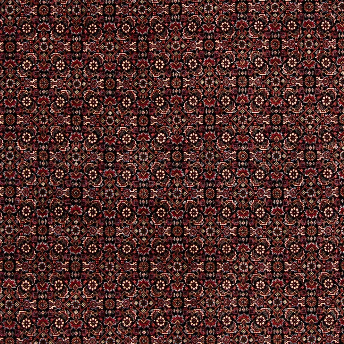Perser Rug - Bidjar - 248 x 198 cm - dark red
