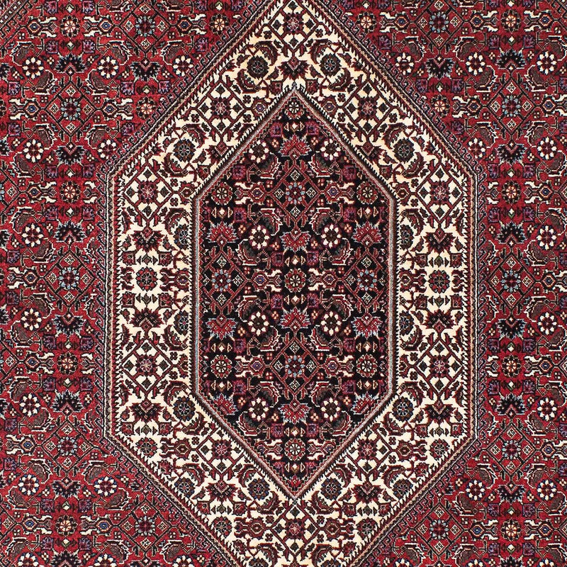 Bidjar Rug 211x136cm - Persian Rugs