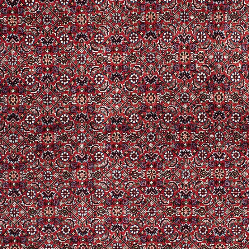 Perser Rug - Bidjar - 214 x 131 cm - red