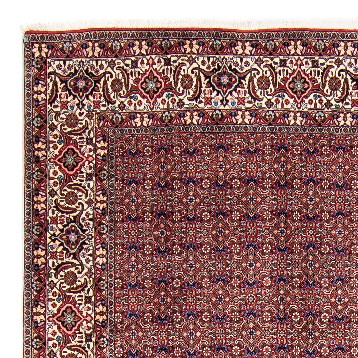 Bidjar Rug 250x292cm - Persian Rugs
