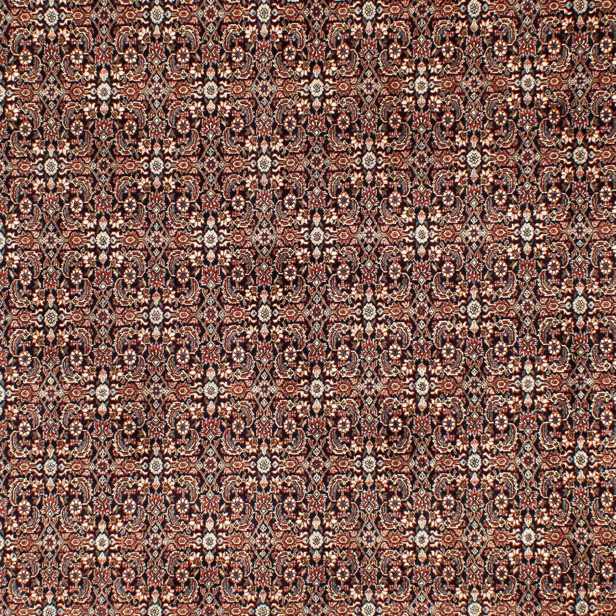 Perser Rug - Bidjar - 300 x 204 cm - multicolored