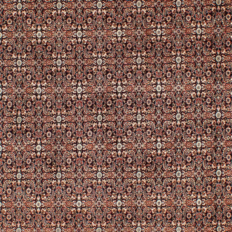 Perser Rug - Bidjar - 300 x 204 cm - multicolored