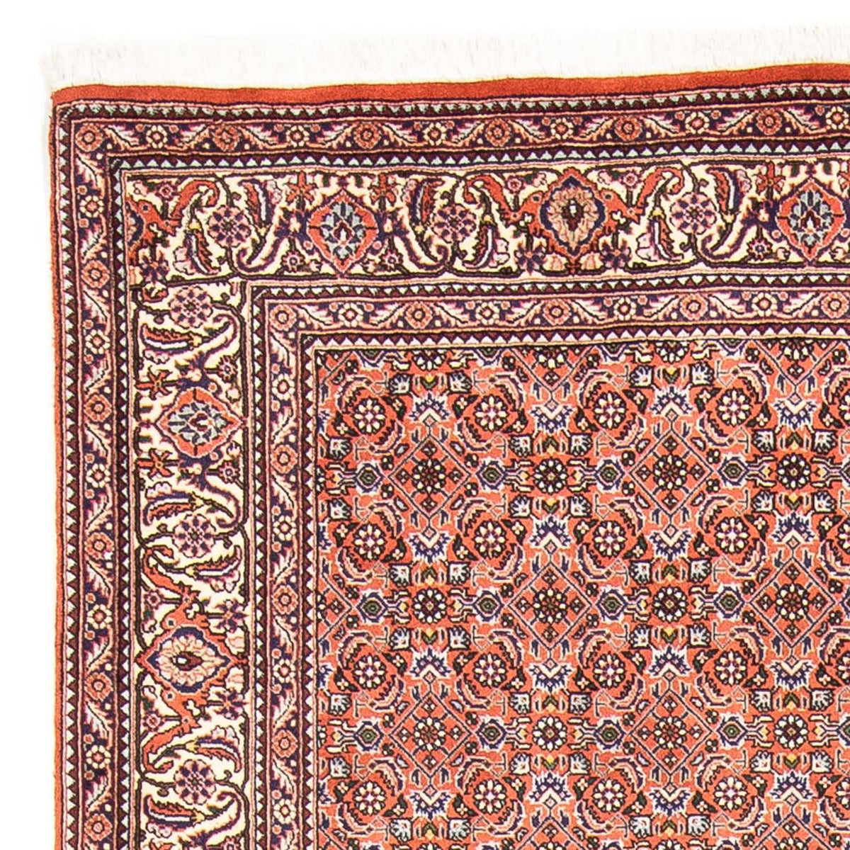 Bidjar Rug 168x239cm - Persian Rugs