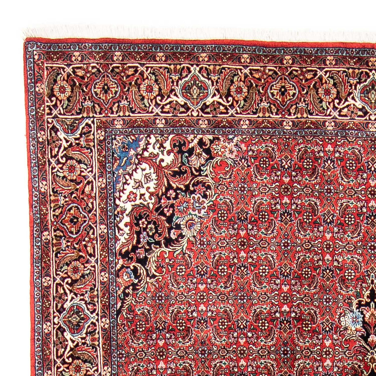 Bidjar Rug 166x233cm - Persian Rugs