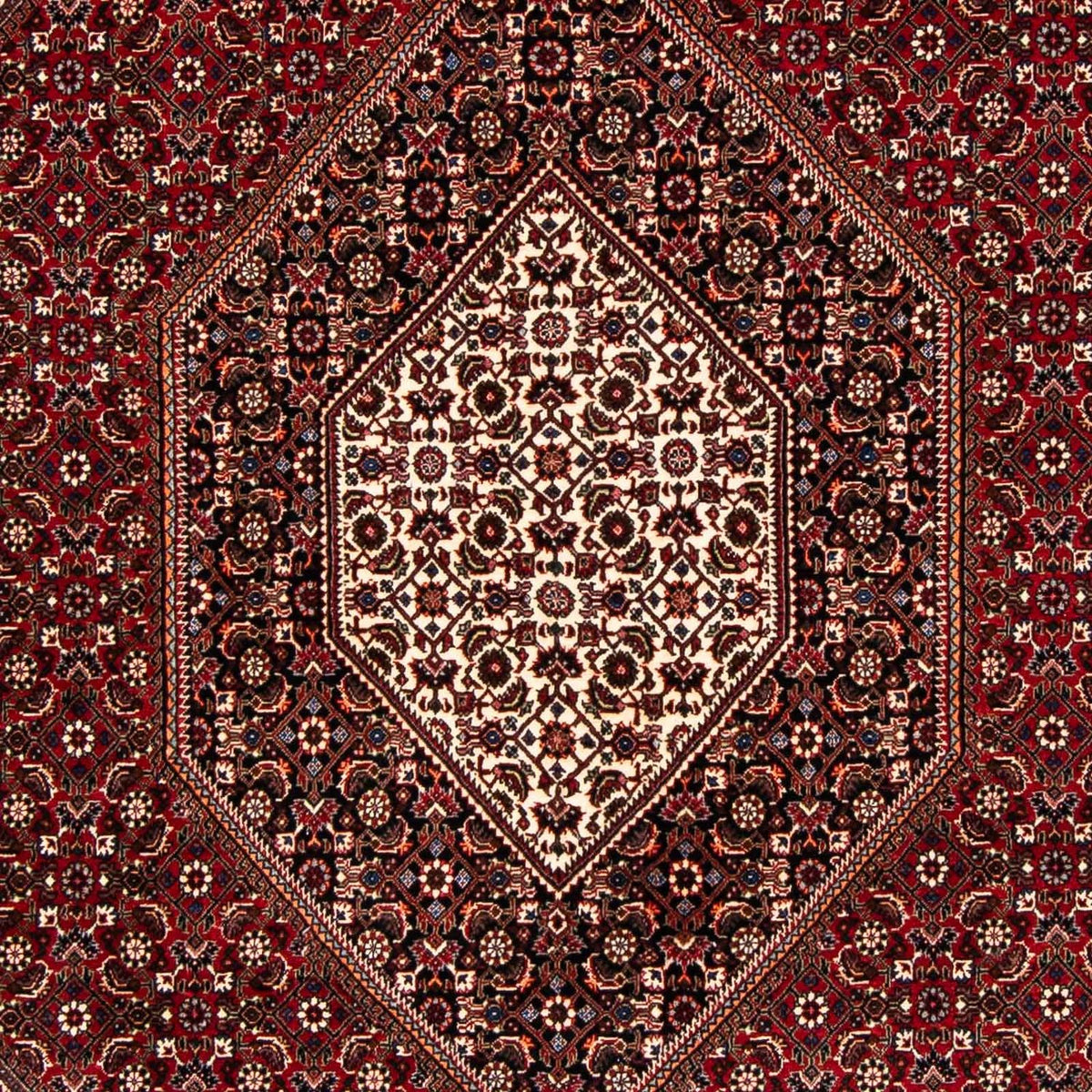 Perser Rug - Bidjar - 238 x 165 cm - dark red