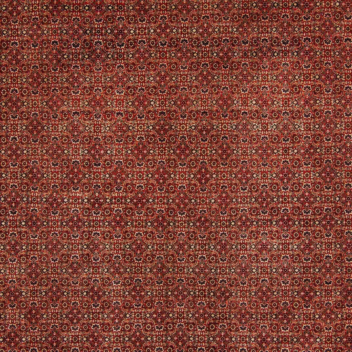 Perser Rug - Bidjar - 384 x 300 cm - dark red