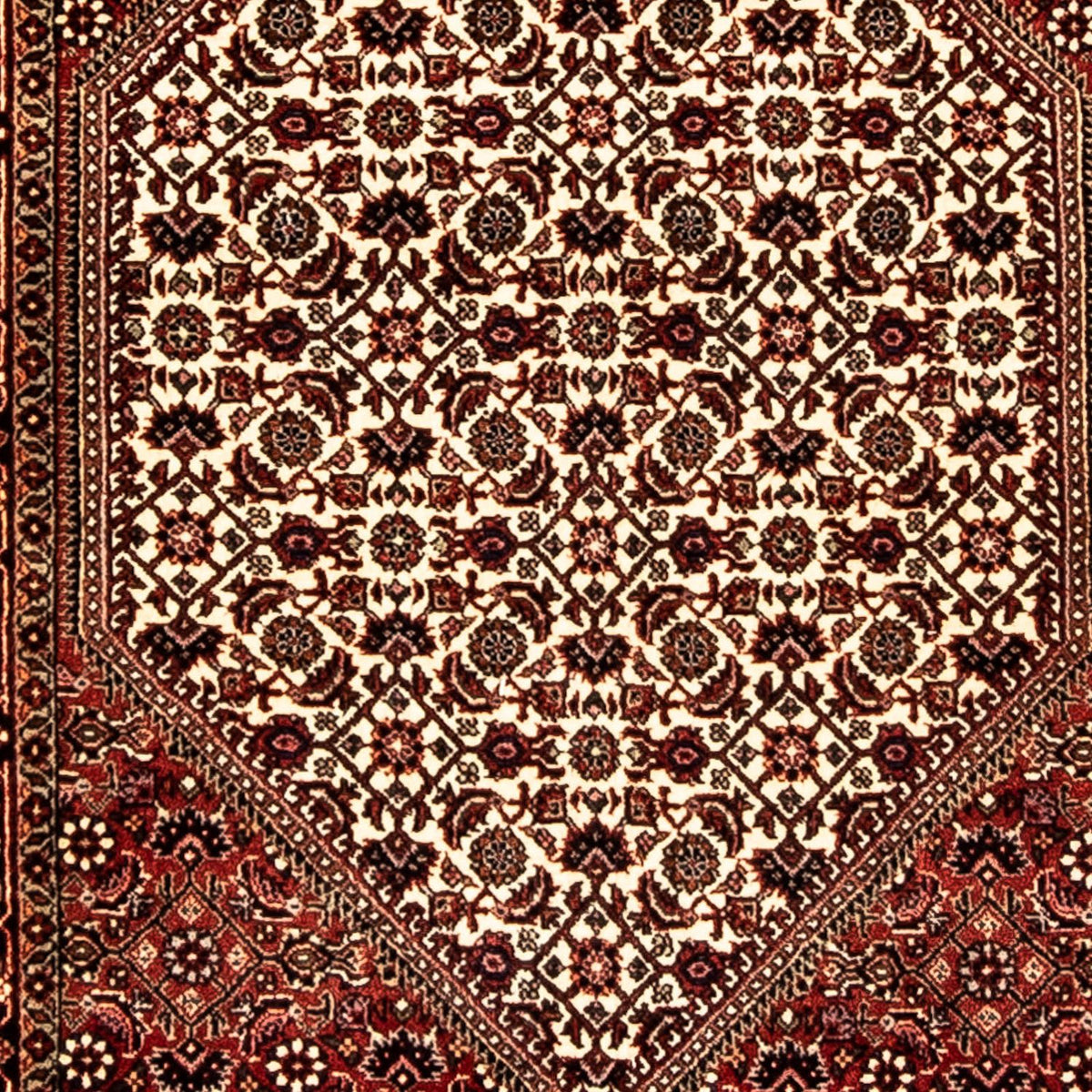 Runner Perser Rug - Bidjar - 284 x 80 cm - multicolored