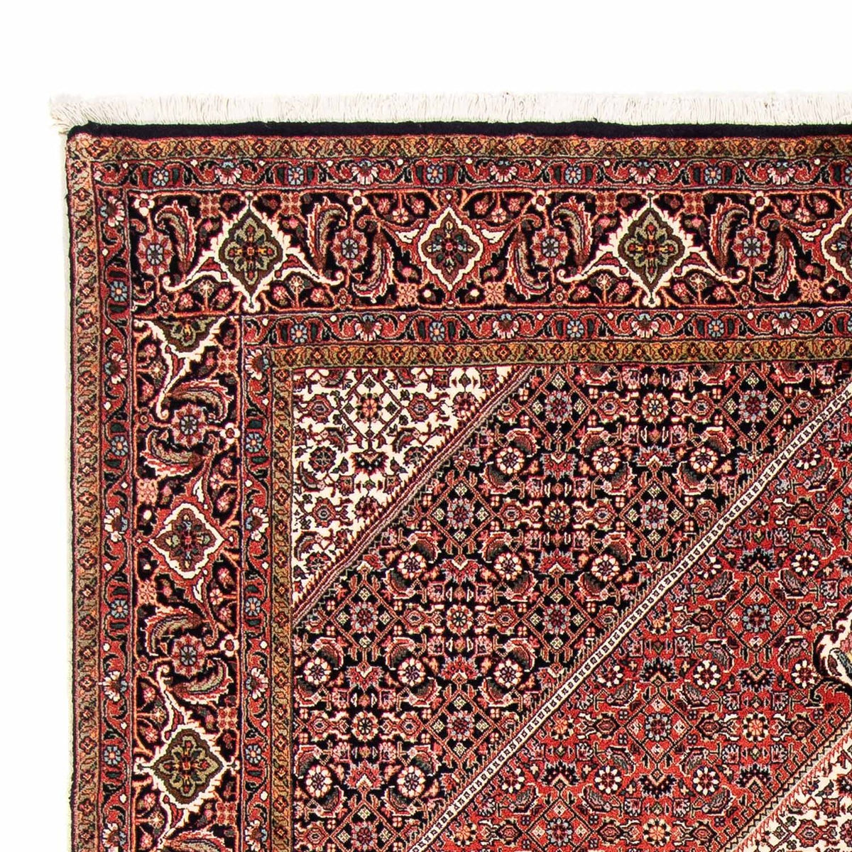 Perser Rug - Bidjar - 238 x 172 cm - light red
