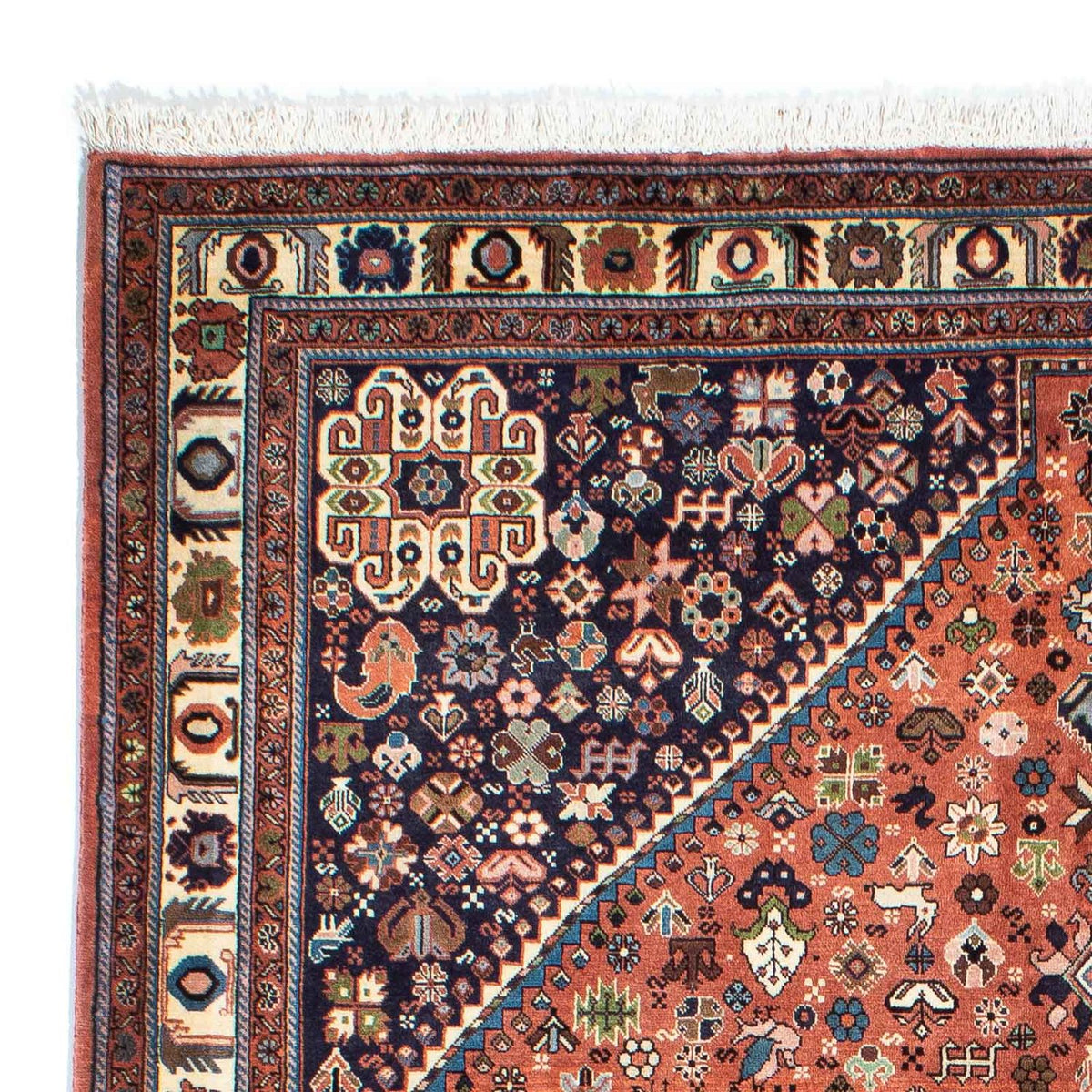Kashkuli Rug 168x240cm - Persian Rugs
