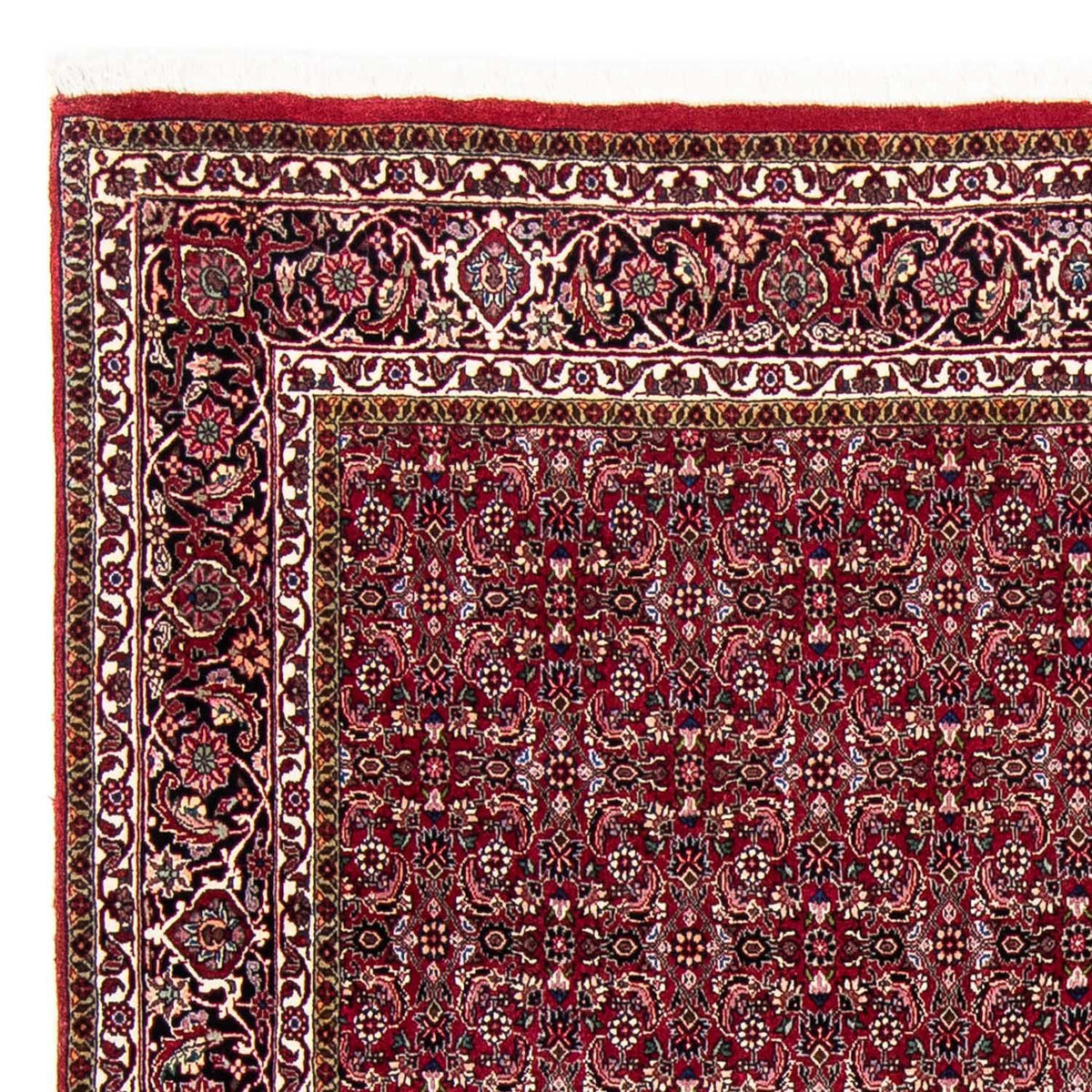 Perser Rug - Bidjar - 245 x 174 cm - red