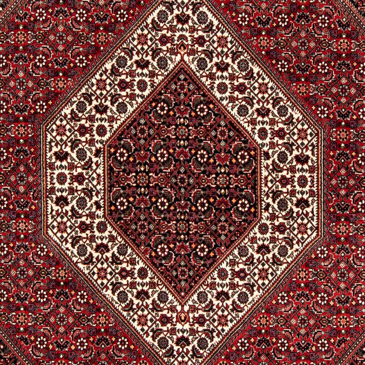 Perser Rug - Bidjar - 240 x 172 cm - dark red