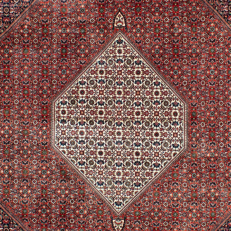 Perser Rug - Bidjar - 301 x 208 cm - rust