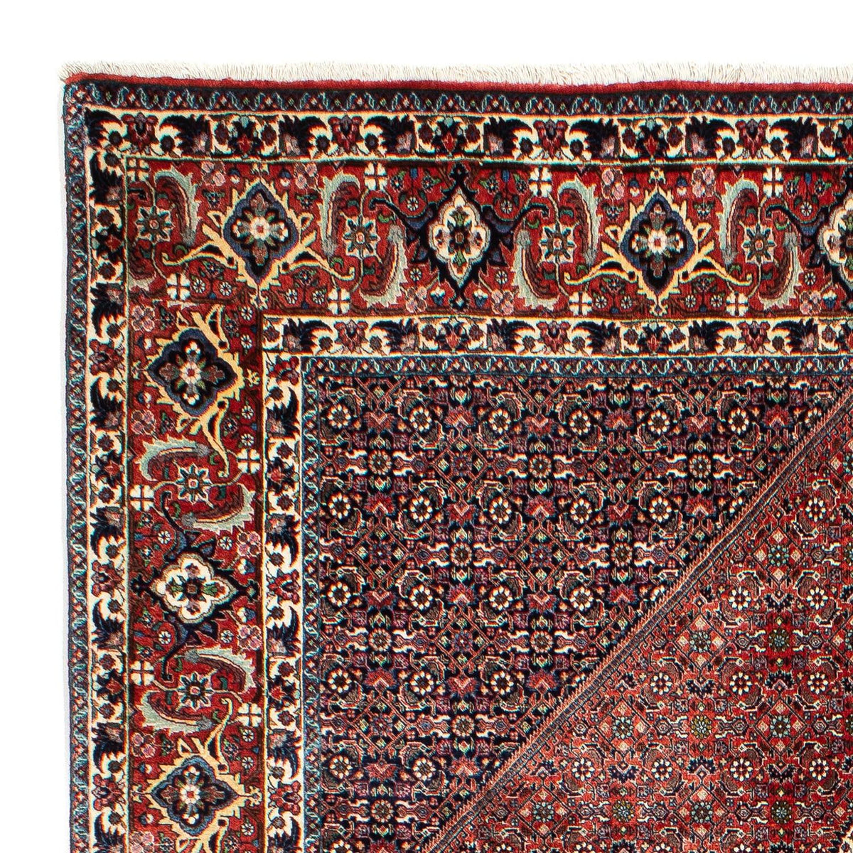 Bidjar Rug 208x301cm - Persian Rugs