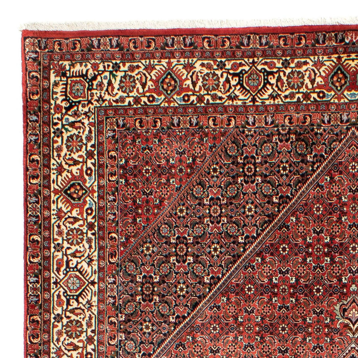 Bidjar Rug 300x203cm - Persian Rugs