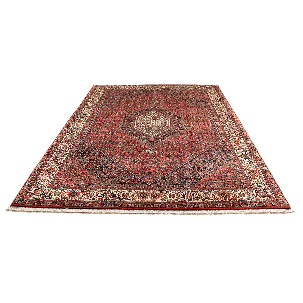 Perser Rug - Bidjar - 300 x 203 cm - light red