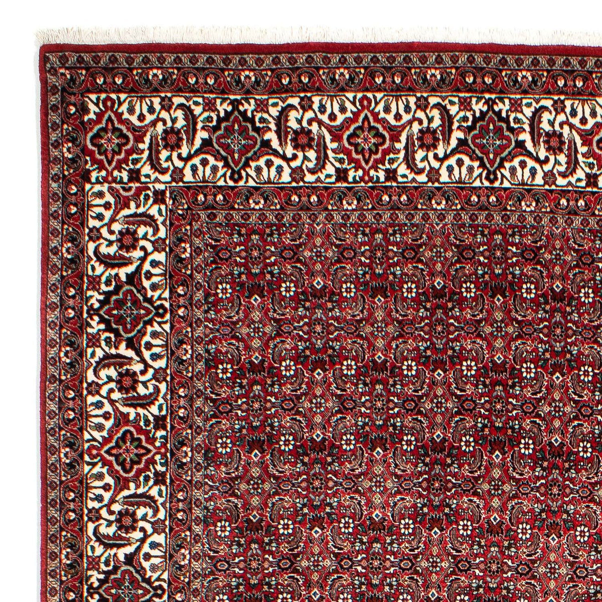 Perser Rug - Bidjar - 309 x 209 cm - dark red