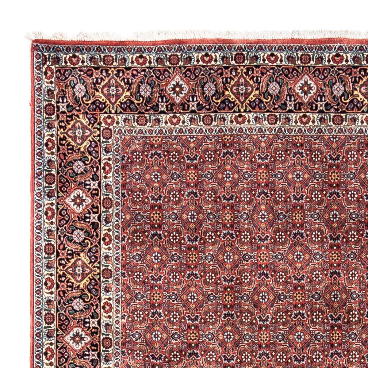 Perser Rug - Bidjar - 306 x 204 cm - red