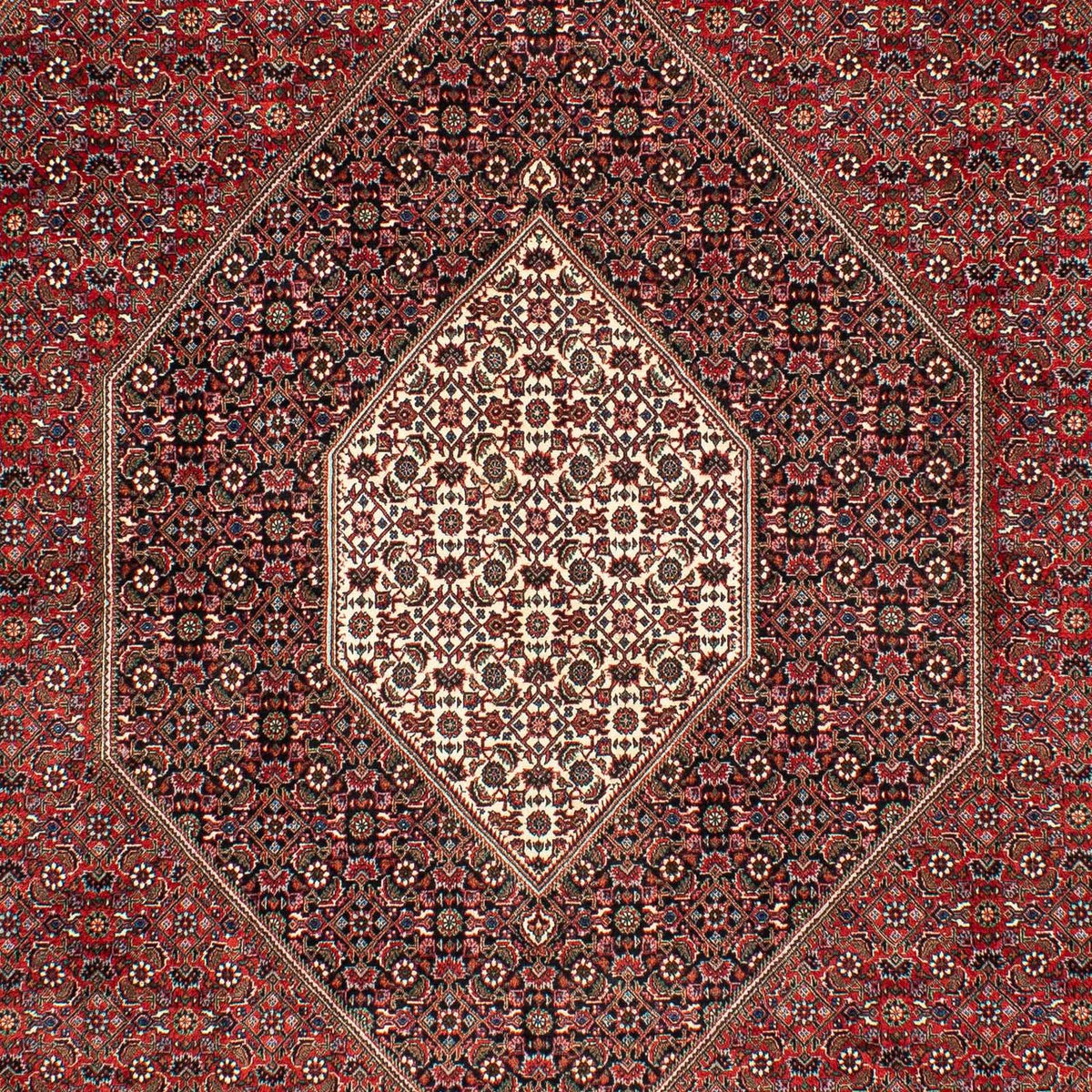 Perser Rug - Bidjar - 309 x 208 cm - dark red
