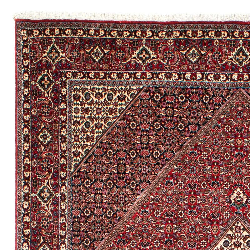 Perser Rug - Bidjar - 300 x 203 cm - light red