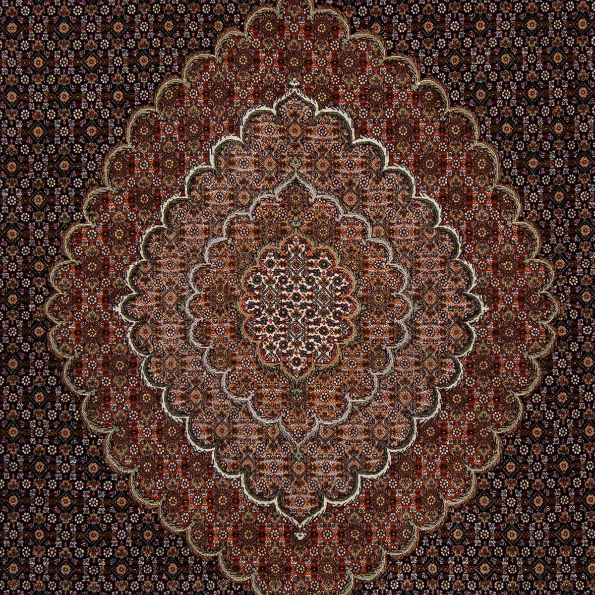 Perser Rug - Tabriz - 353 x 255 cm - brown